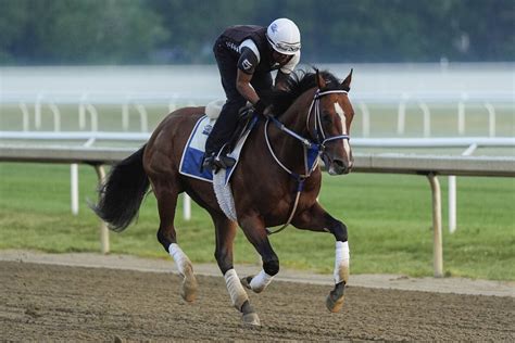 belmont stakes betting guide|Belmont Stakes betting guide: Expert picks, analysis, past .